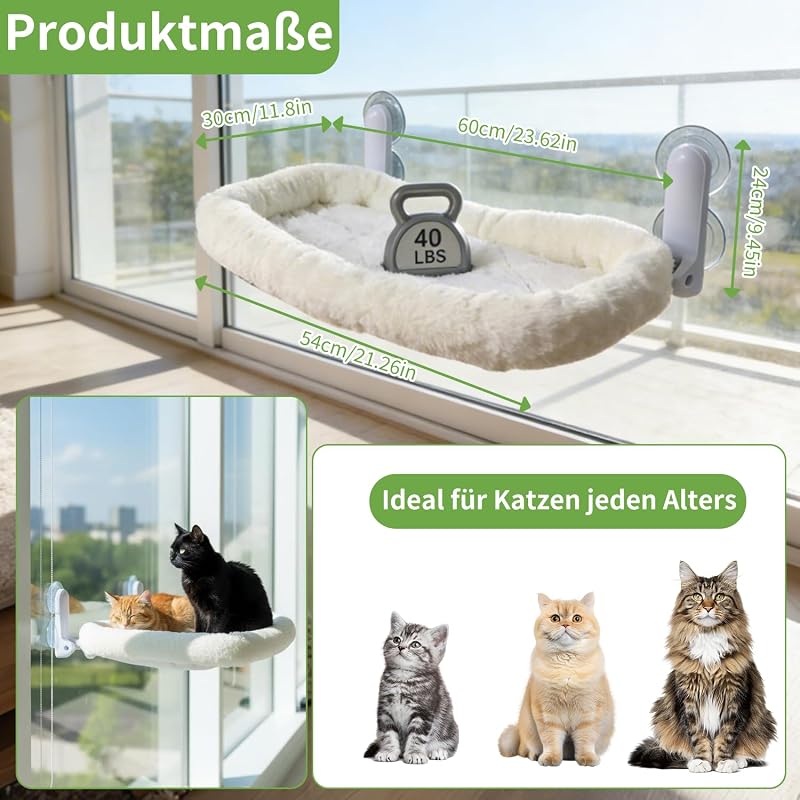 Katzen Fensterliege Hängematte mit Tierhaarentferner Handschuh, Katzen Hängematte mit Abnehmbarem 4-Seiten-Polster & Metallrahmen, Cat Hammock für Große Cat & Kätzchen (Weiß, Größe M)