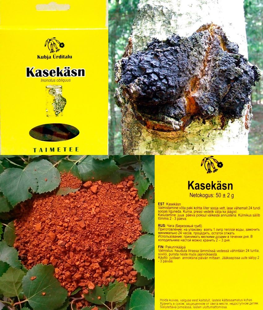 Chaga Mushroom Chunks Dried from Estonia 50g. Chopped to 1 cm.