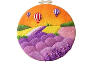 Almencla Needle Kit DIY with Instructions Painting Craft Wool Felting for Starter, D