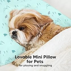 Mini Toddler Pillow with Pillowcase - 9x13 My
