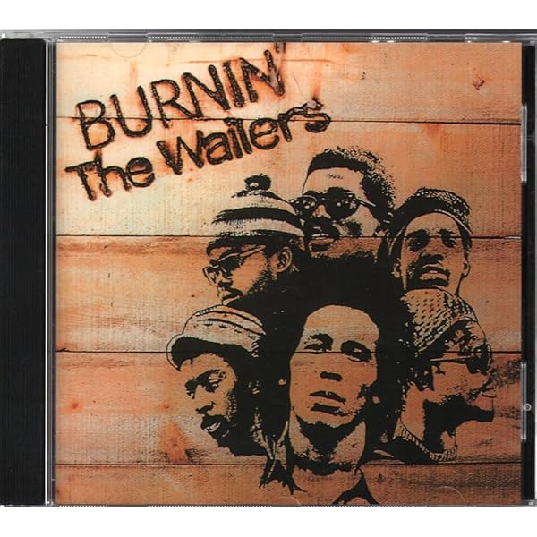 Amazon.com: Bob Marley and The Wailers - Picture Disc LP