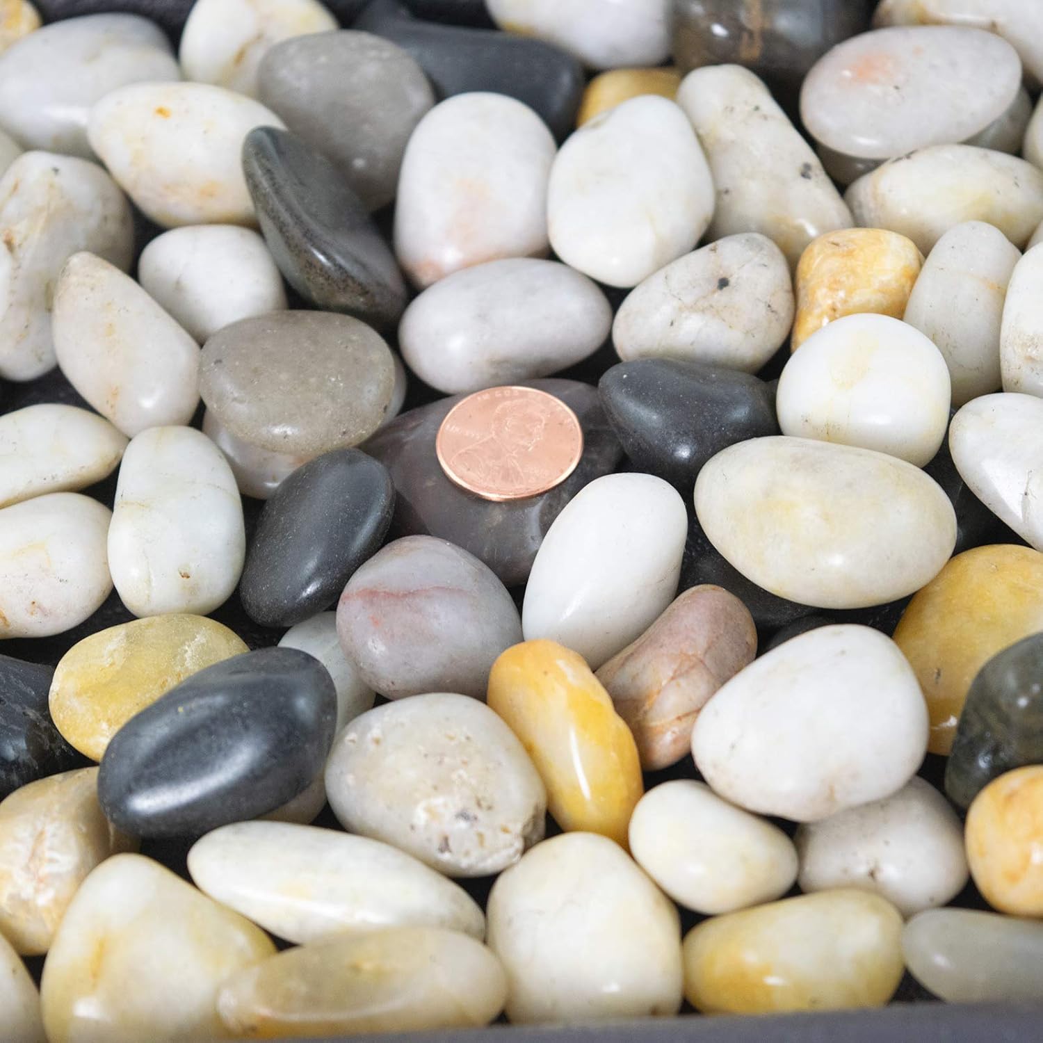 Amazon Com 3 Lbs Large Decorative Pebbles For Bonsai Tree