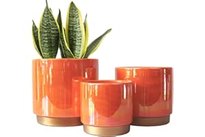 Gepege Ceramic Indoor Pots for Plants, Rainbow Pearl Glaze Planter with Drainage Hole, 6.0 inch+5.0 Inch+4.0 Inch. Orchid Flower Pots