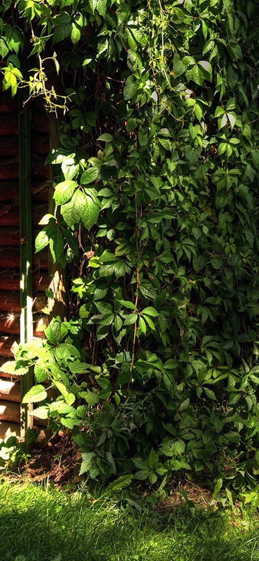 PeelitStickit, Beautiful Nature Wall Murals, ID-1402, vinyl