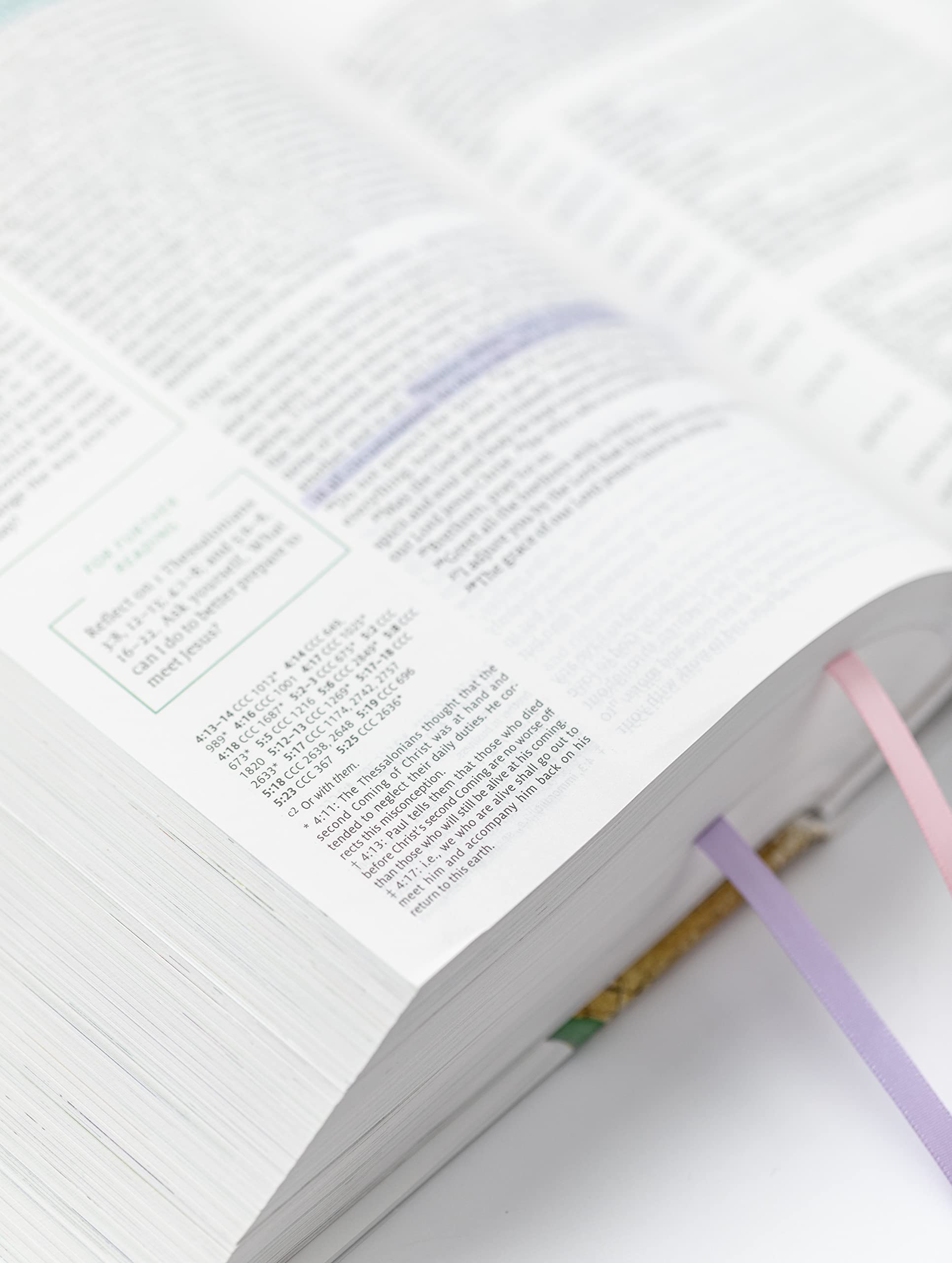 Living the Word Catholic Women's Study Bible RSV2CE: Full-Color, Single Column Hardcover with Wide Margins, Journal and Note-Taking Space, Full-Color Features Saints Quotes and Cross-References