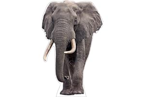 MAMMA KIDDIE Life Size Cardboard Cutout Standup | Waterproof | Animals - Elephant -b