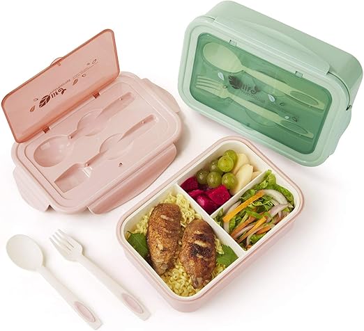 adult lunch containers