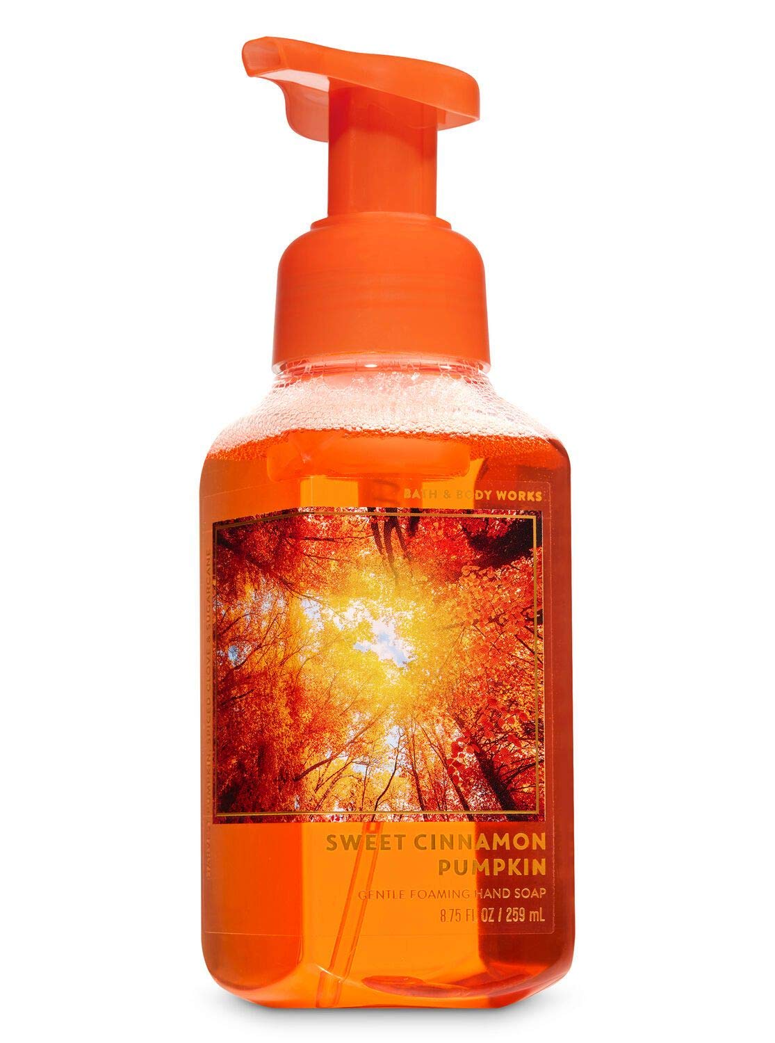 Bath and Body Works Fall Favorites - Set of 5 Foaming Hand Soaps - Sweet Cinnamon Pumpkin, Marshmallow Pumpkin Latte, Crisp Morning Air, Afternoon Apple Picking, Warm Autumn Glow : Beauty