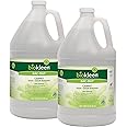 Biokleen Bac-Out Carpet Stain Remover Enzymatic, Destroys Stains & Odors Safely, for Pet Urine, Laundry, Diapers, Wine, Carpets, More, Eco-Friendly, Plant-Based