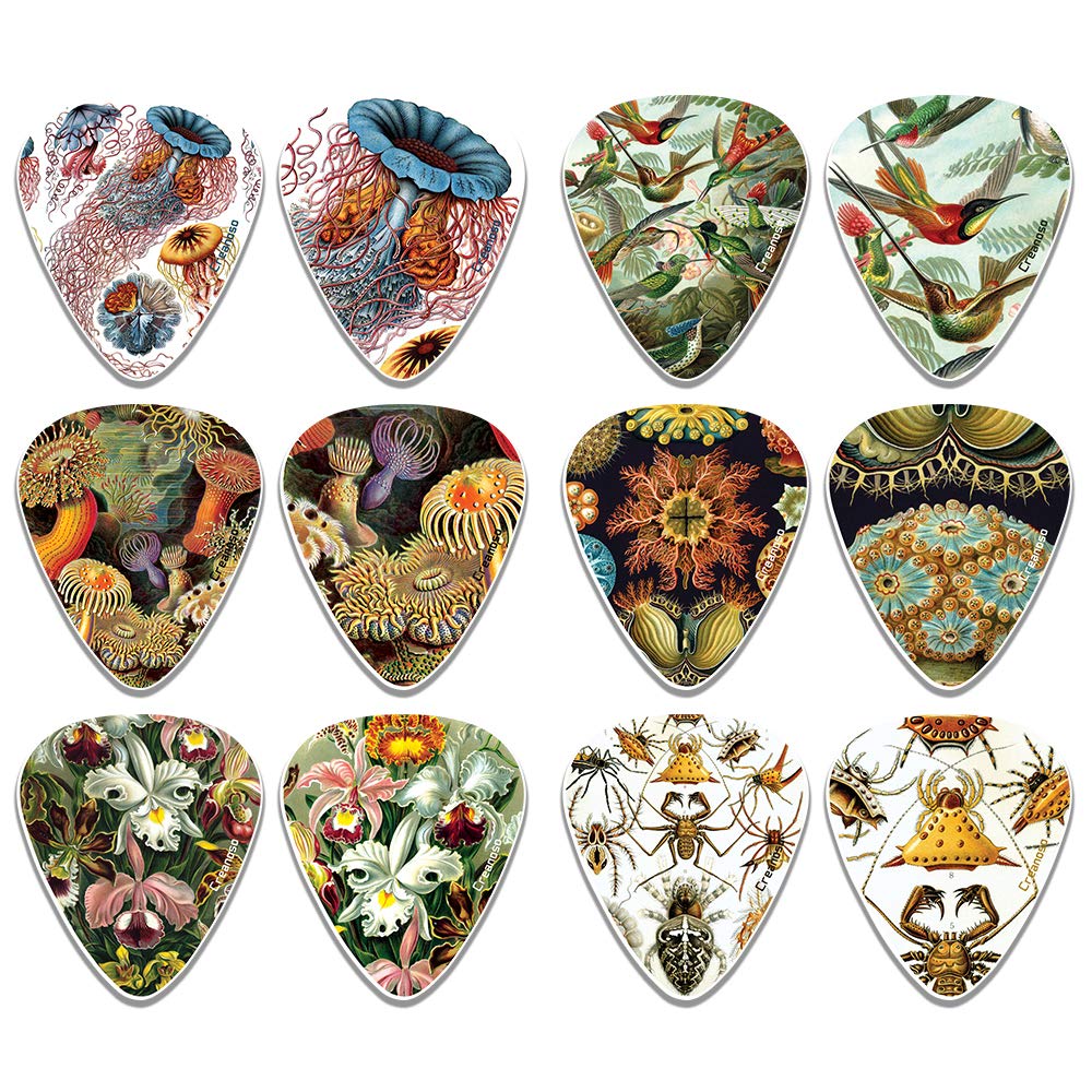 Creanoso Cool Ernst Haeckel Vintage Guitar Picks (12-Pack) - Premium Music Gifts & Guitar Accessories for Musicians – Medium Gauge Celluloid – Great Guitar Tool for Muscle Bound Musicians.