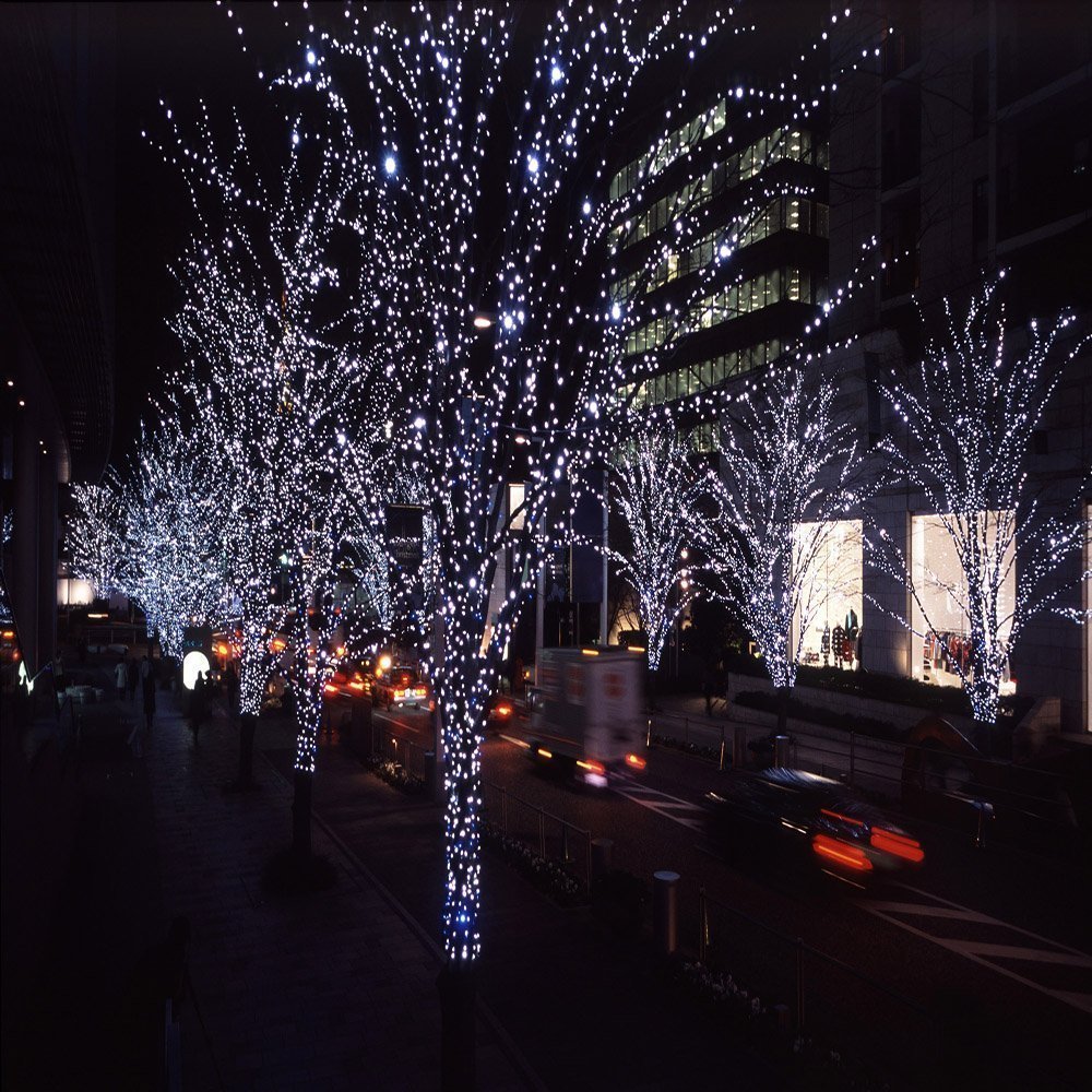 View 6