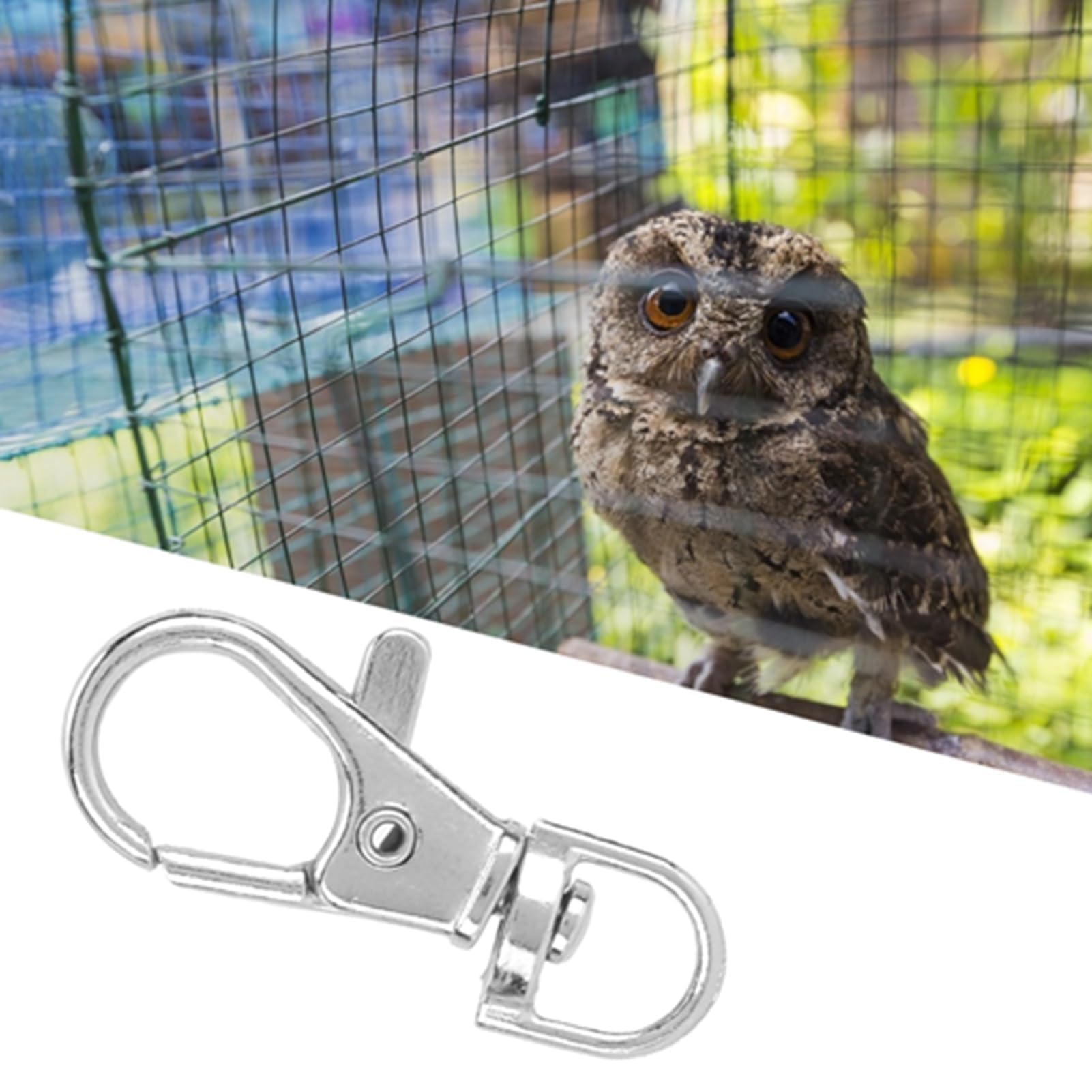GOTOTOP 12 Pcs Bird Cage Locks, Metal Pet Cage Door Lock Hook Clip Prevent Claw Trigger Open Birds Cage Accessories