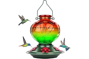 BOLITE Hummingbird Feeder, Glass Hummingbird Feeders for Outdoors Hanging, 22 Ounce, Five Feeding Ports with Perch, Peony Flower Shape, Orange and Green