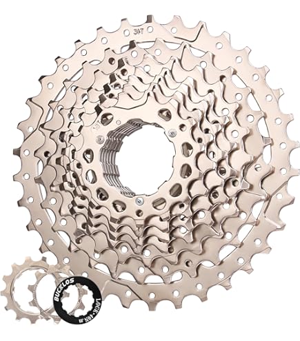 Amazon.com : Shimano 10V Cassette. CS-HG500-10 11-34 : Sports