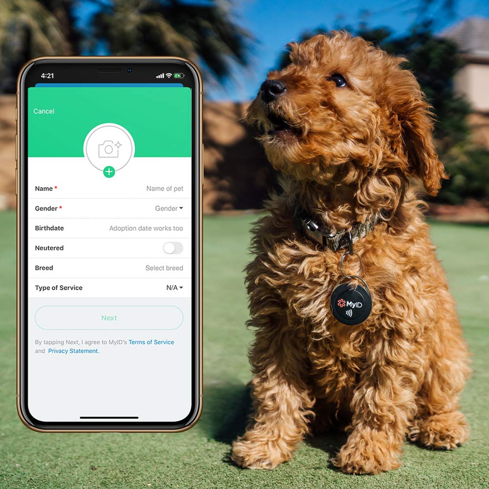 MyID Tag Medical ID Featuring NFC and QR Code Technology, Perfect for Kids and Pets