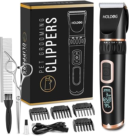 dog birthday gift box