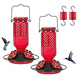 FEED GARDEN Glass Hummingbird Feeder for Outdoors