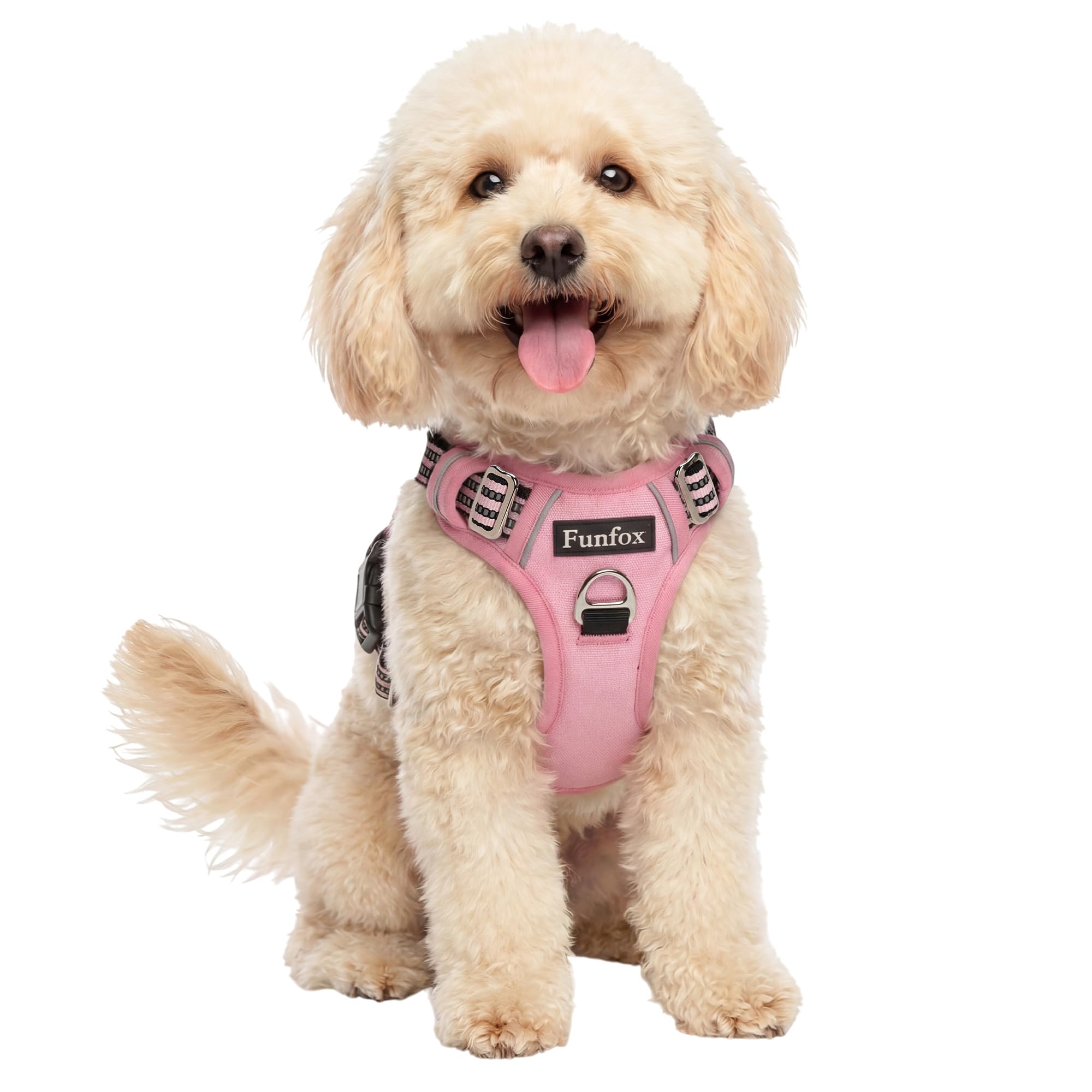 Funfox Dog Harness Small, No Pull Puppy Harness with Vertical Handle, 2 Leash Clips, Reflective Strips Night Walking, Anti Pull Adjustable Padded Pet Vest Size for Small Breed, Pink S — image 1