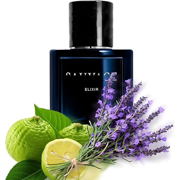 Amazon.com: Christian Dior Sauvage Elixir 男性用3.5 盎司(約96.4