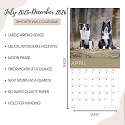 July 2025- December 2026 Border Collie Wall