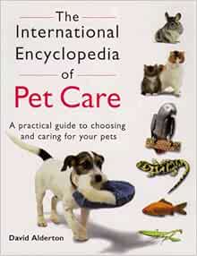 international pet care