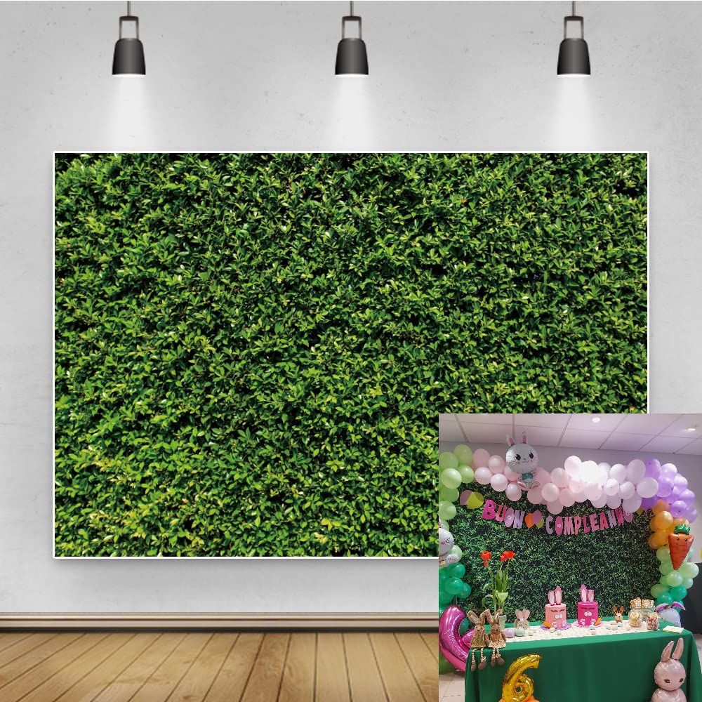 Renaiss 10x8ft Spring Green Leaves Backdrop Nature Grass Wall Photography Background Birthday Wedding Party Decoration Banner Outdoorsy Theme Home Decor Newborn Baby Shower Photo Props