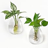 Dahey Propagation Stations Wall Hanging Planters Glass Wall Mounted Vases Oblate Terrarium for Flowers Hydroponics Indoor Plants Home Bathroom Office Decor 2 Pack