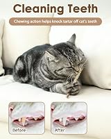 Nepfaivy Cat Toys Silvervine Sticks 12PCS Indoor Dental Chew Toy view 3