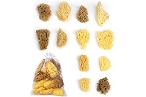 HORSDO 12Pack Natural Sea Sponges for Painting100% Natural & Kid-Friendly|Acrylic Watercolor, Marbling, Texturing, Pottery, Ceramics