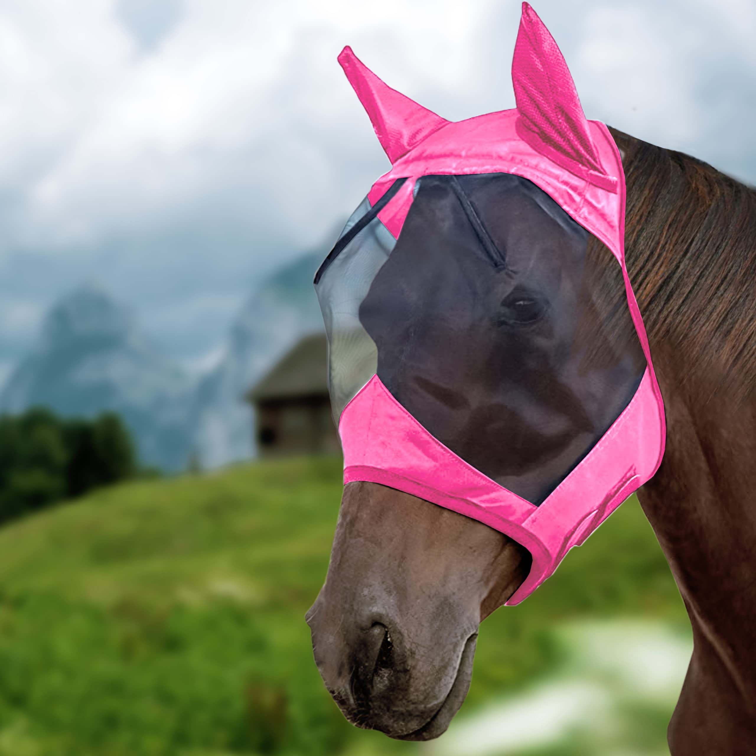 Horse Fly Mask Standard with Ears with Comfort Fleece padding UV Protection for horse Breathable Mesh(Cob, Pony, Full)