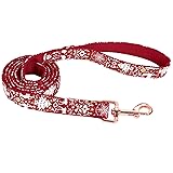 ARING PET Dog Leash, Christmas Dog Leashes Matching