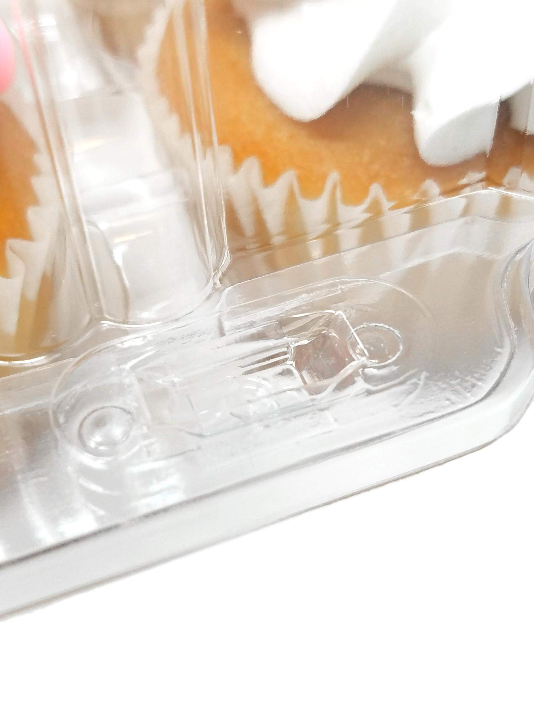 Disposable Cupcake Plastic Containers for 12 Cupcakes Gets Your