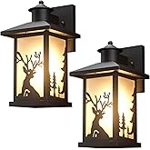 JAYNLT 2 Pack Outdoor Wall Sconce, Waterproof Exterior Wall Lights Fixtures, Porch Lights Anti-Rust with Toughened Frosted Gl