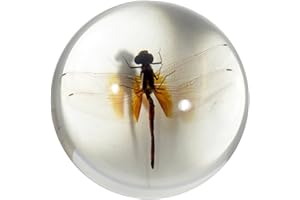 REAL BUG SS220 3.5" Dragonfly Dome Paperweight Clear
