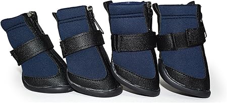 golden retriever snow boots