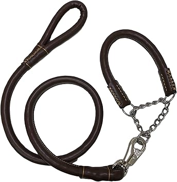 Amazon 中型犬 大型犬 レザーチョーク 首輪 リード セット トートバッグ付き 大型犬 茶色 イーショップ リード 通販