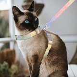 Pinenuts Cat Harness and Lead Set Adjustable Escape Proof Rainbow Kitten Harness view 6