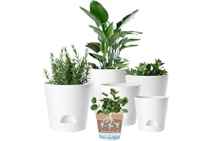 Self Watering Planters, 6 Pcs 7.8''+6.9"+6.5"+6"+5.5"+5" Plastic Flower Pots with Detachable Reservoir and Drainage Holes, Mo