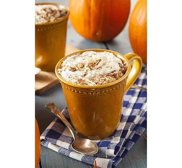 NESTLE,PUMPKIN SPICE, COFFEE-MATE LIQUID COFFEE CREAMER SINGLE SERVING TUBS – SEASONAL FLAVOR, 0.37 FL OZ (PACK OF 50)