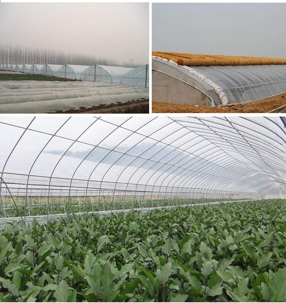 Originline Clear Plastic Film Polyethylene Covering for Greenhouse and Grow Tunnel, 3.1mil 12ftx25ft