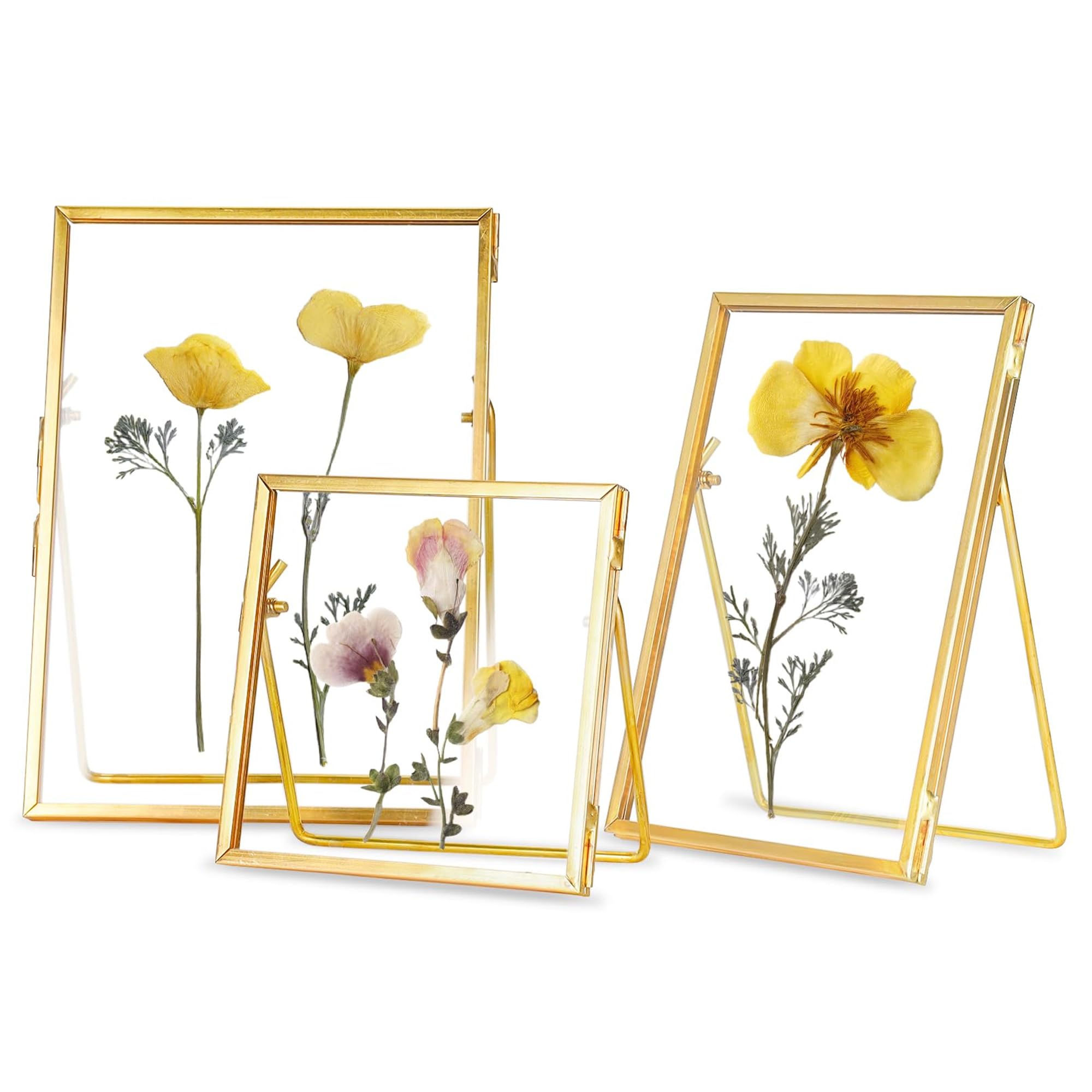 Photo 1 of REDHUGO Glass Frame for Pressed Flowers Handmade, Double Glass Floating Picture Frame Set, Brass Photo Frame, Standing Frame Set, Small Picture Frame, Gifts for Family, 4×4", 4×6", 5×7", Gold
