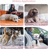 Heyu-Lotus Reusable Dog Nappies 3 Pack Female Washable Period Pants S/M 30-48cm view 7