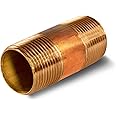 3" Long Brass Nipple Pipe Fitting with 3/4" Nominal Diameter and NPT Ends