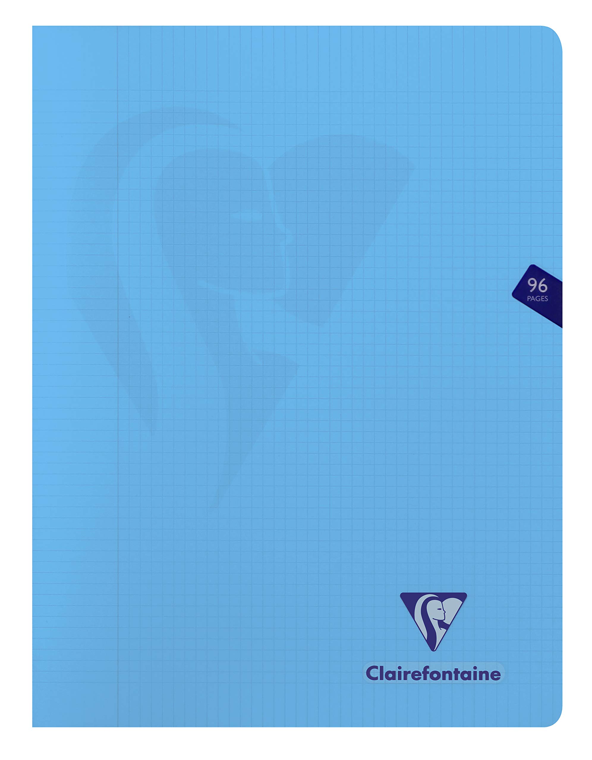 Clairefontaine 303368C Set of 10 Mimesys Stapled Notebooks - 24x32cm - 96 Pages Small Squares with Margin - White Paper 90g - Transparent Cover Random Colours