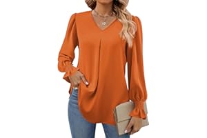 Funlingo Women's 2025 Long Sleeve Tops Dressy Casual V Neck Tunic Shirts Loose Chiffon Work Blouse