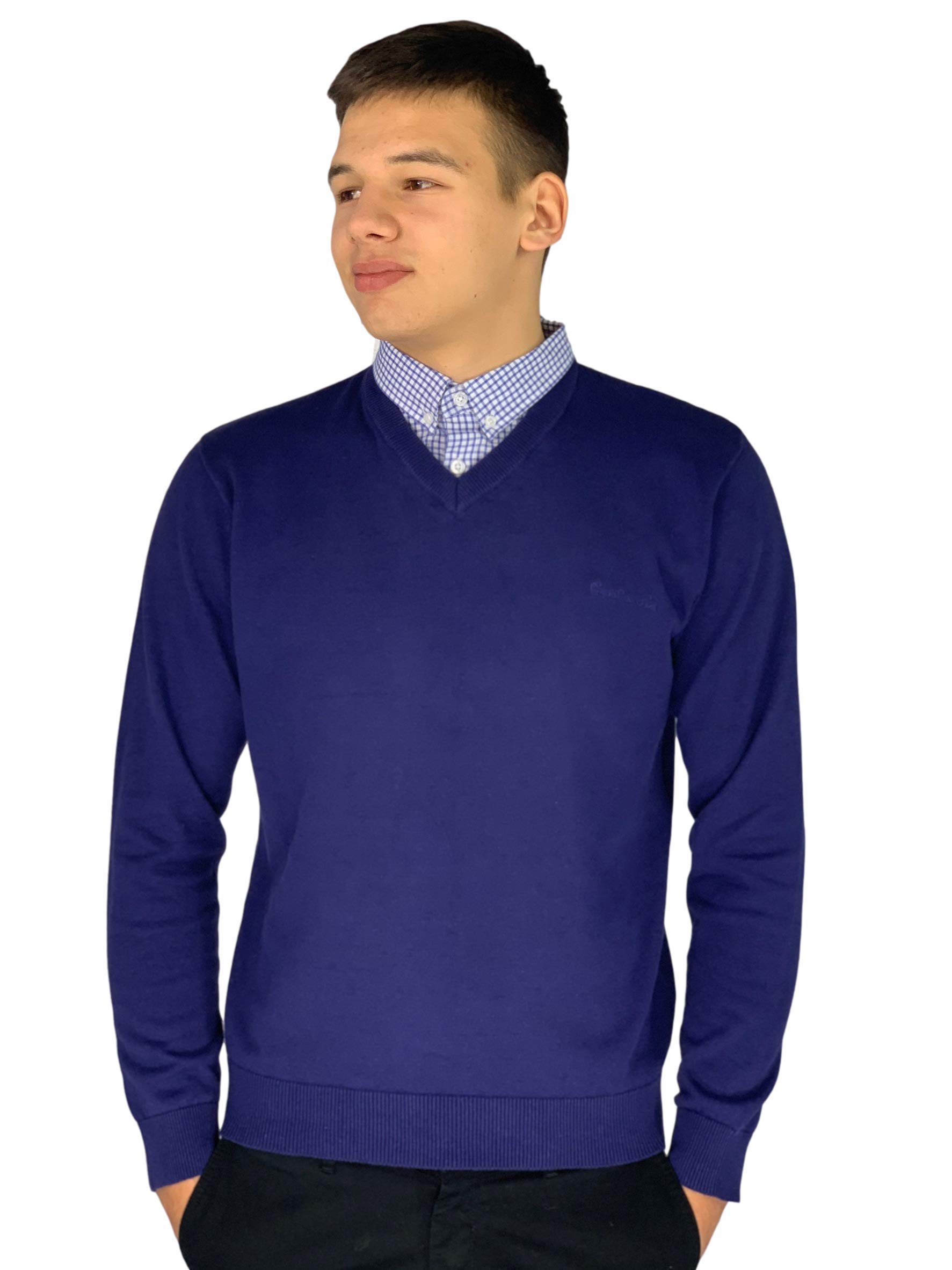 Pierre Cardin Mens New Season V-Neck 