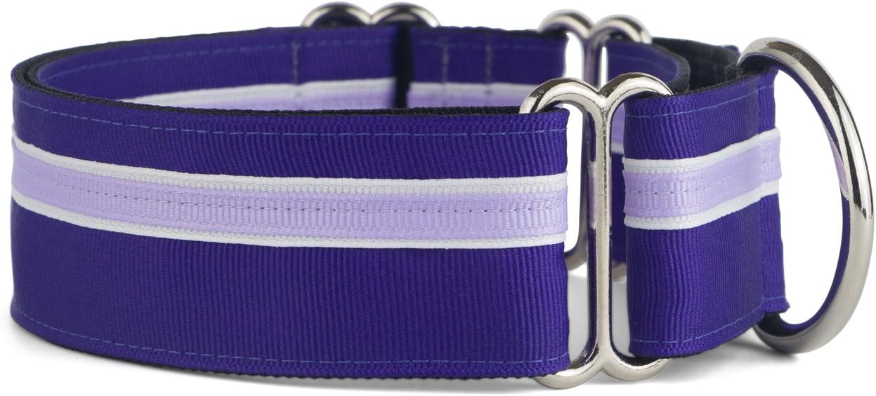 if it barks martingale collar