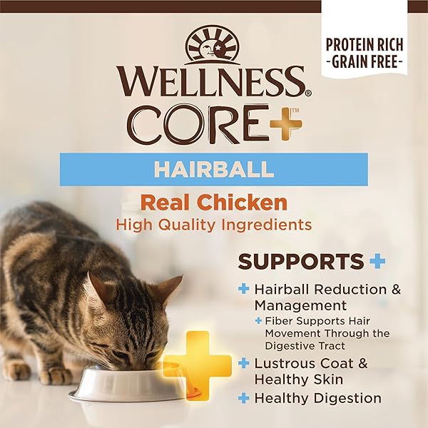 WELLNESS CORE+ HAIRBALL ADULT DRY CAT FOOD, NATURAL, GRAIN FREE KIBBLE, CHICKEN RECIPE, 4.75 LB BAG