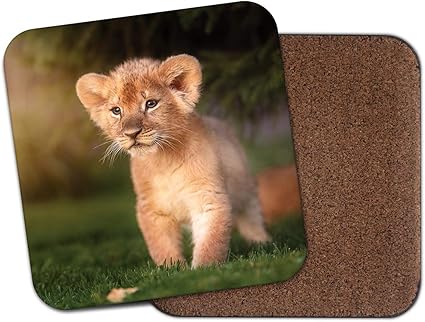 Amazon ライオンの子コースター ワイルド赤ちゃん動物アフリカかわいい子供動物園の素晴らしい楽しいギフト Destination Vinyl Coasters ホーム キッチン