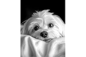 Miwixy Maltese Dog Diamond Painting,White Dog Diamond Art Kits for Adults,5D Full Drill Round Dots Peinture Diamant,Cute Anim